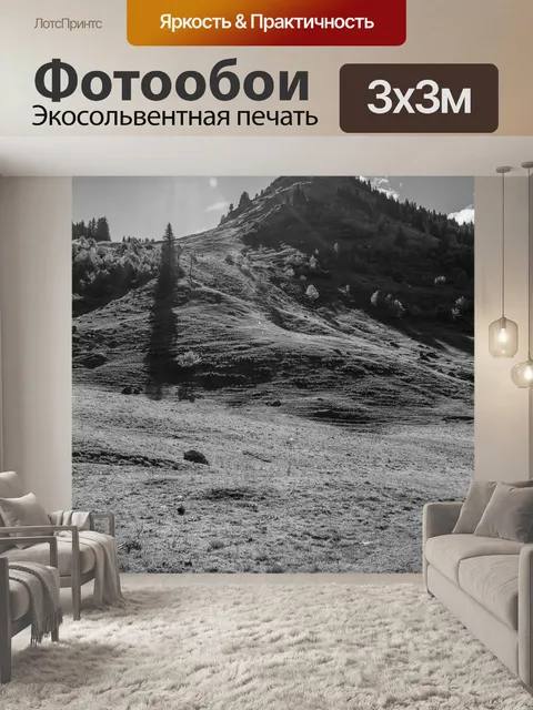 Фотообои Черно-белый