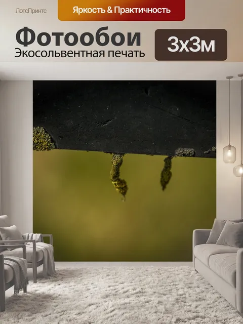 Фотообои Природа