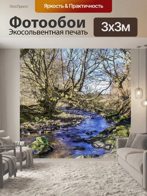 Фотообои леса 3
