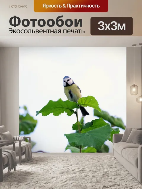 Фотообои Певчая птица