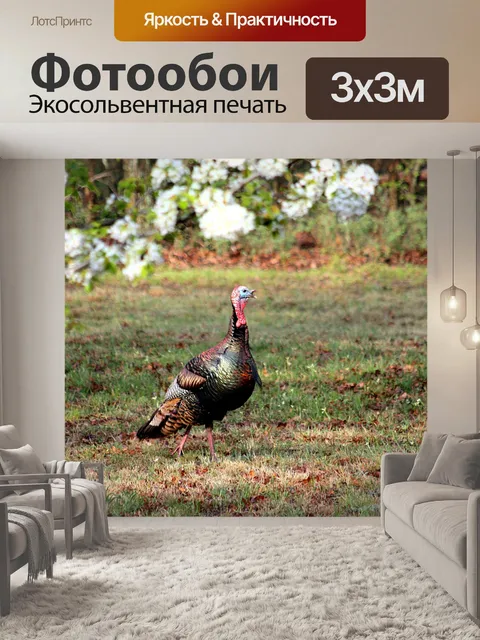 Фотообои Том Турция весной
