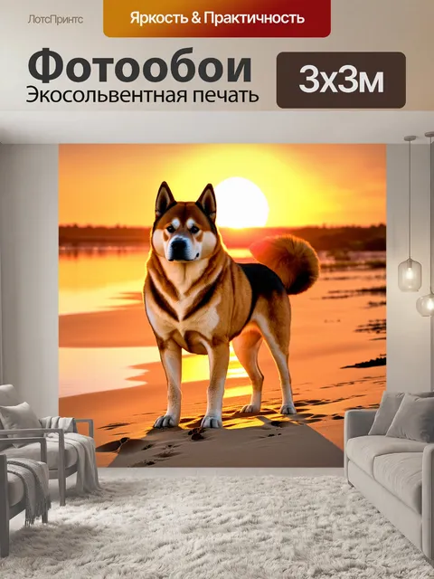 Фотообои акита-ину на фоне вечернего заката