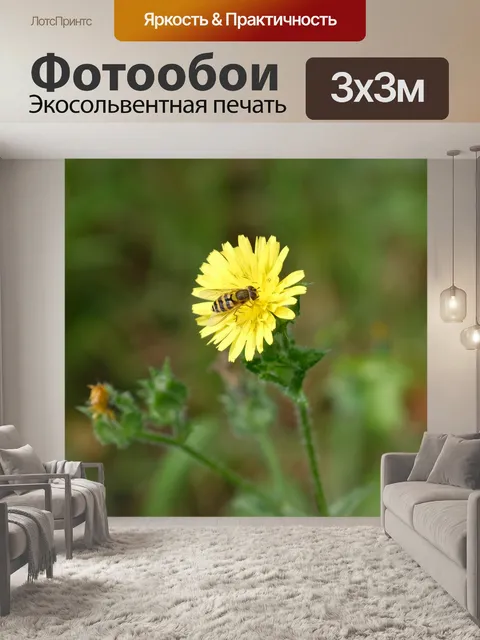 Фотообои Пчела на одуванчике
