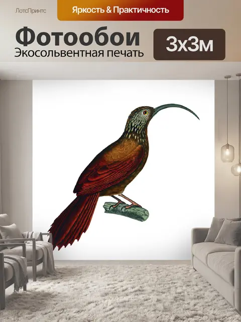 Фотообои Винтажное Искусство Птицы