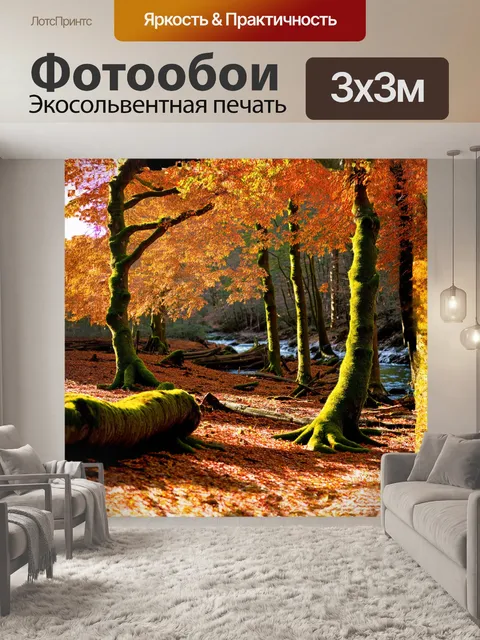 Фотообои древний лес с изогнутыми буковыми деревьями