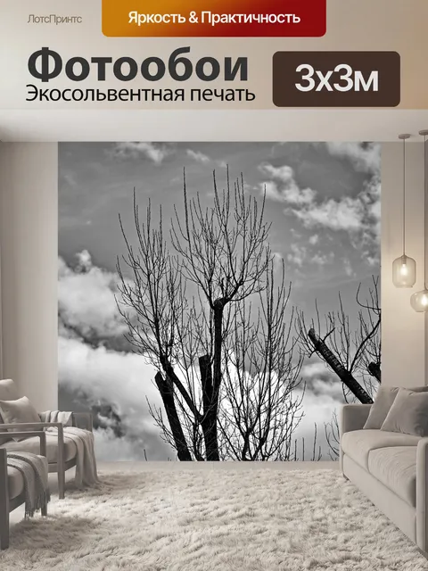 Фотообои Пейзаж