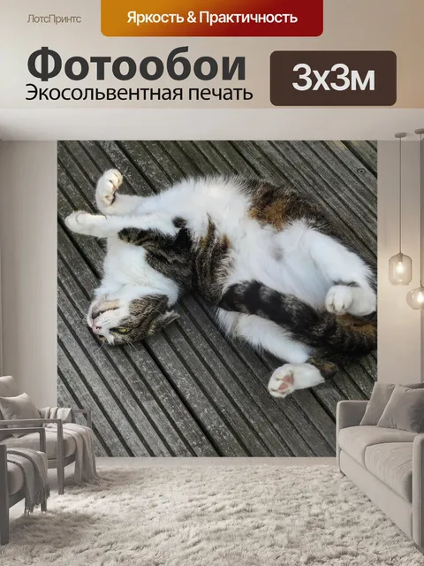 Фотообои Кошка