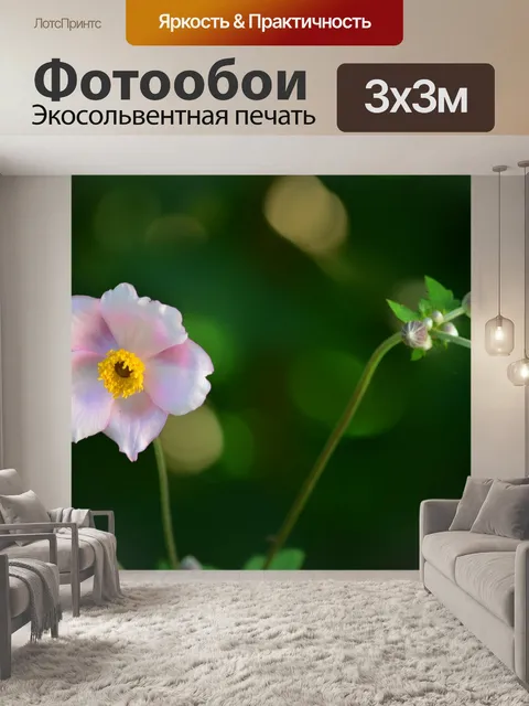 Фотообои Цветы