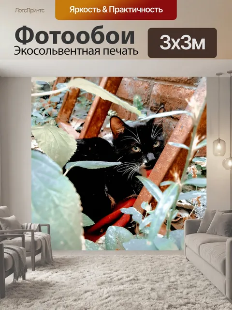 Фотообои Кошки