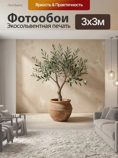 Фотообои Оливковое дерево в терракотовом горшке