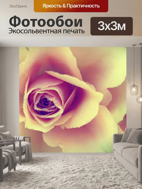 Фотообои Розы