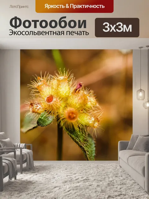 Фотообои Трава цветочное поле