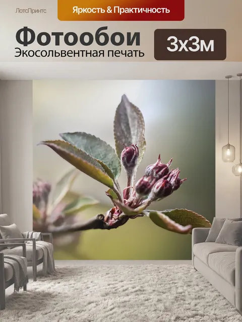 Фотообои Веточка