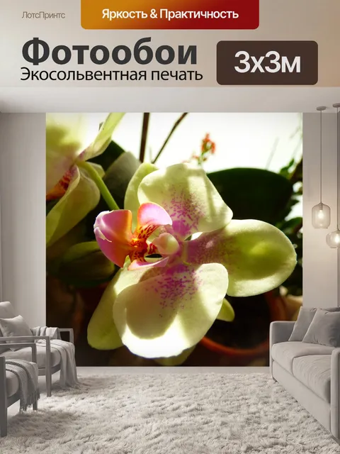 Фотообои Фон обои