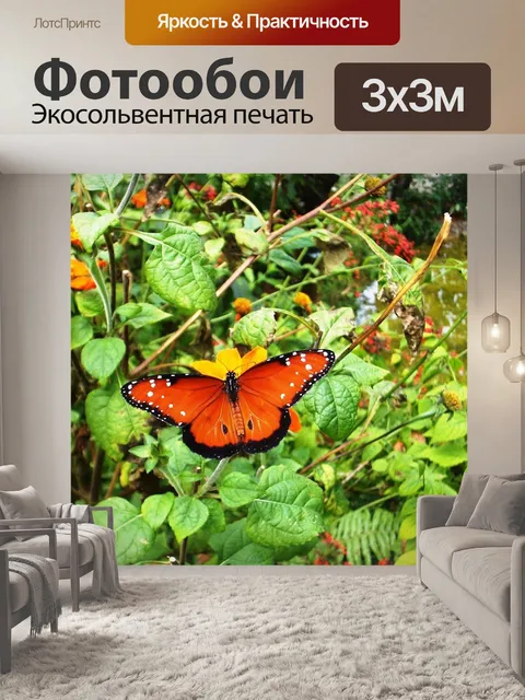 Фотообои Бабочка