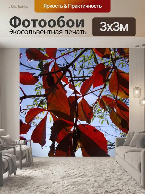 Фотообои Листья
