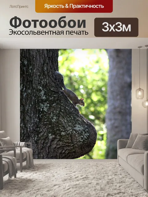 Фотообои Белка