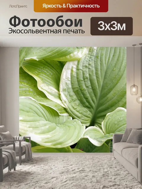 Фотообои Листья