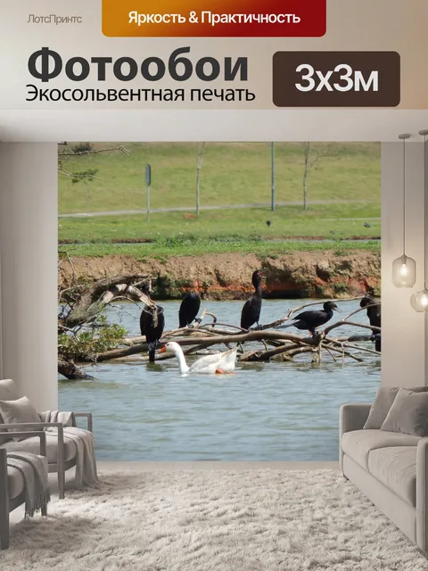 Фотообои Вода