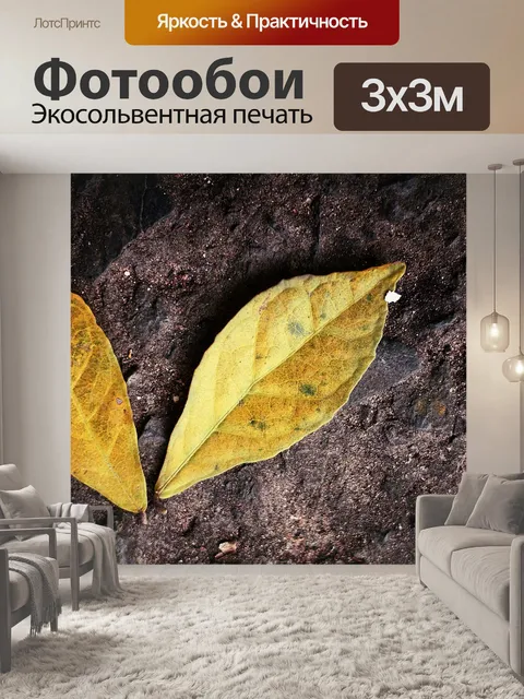 Фотообои Листья