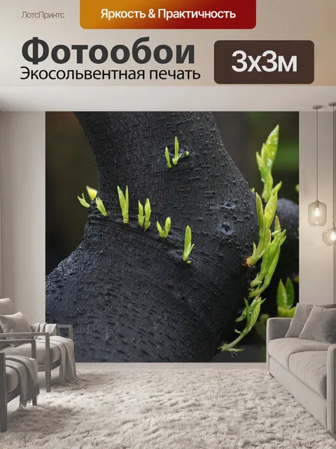 Фотообои Стреляет