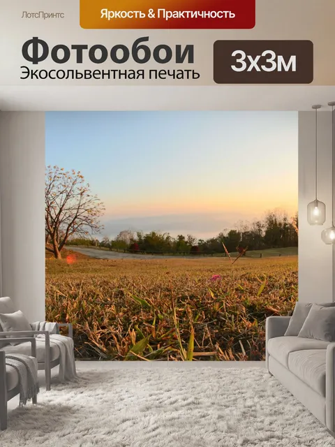 Фотообои Вид на восход солнца утром в Шри Нан