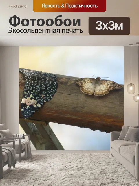 Фотообои Бабочки