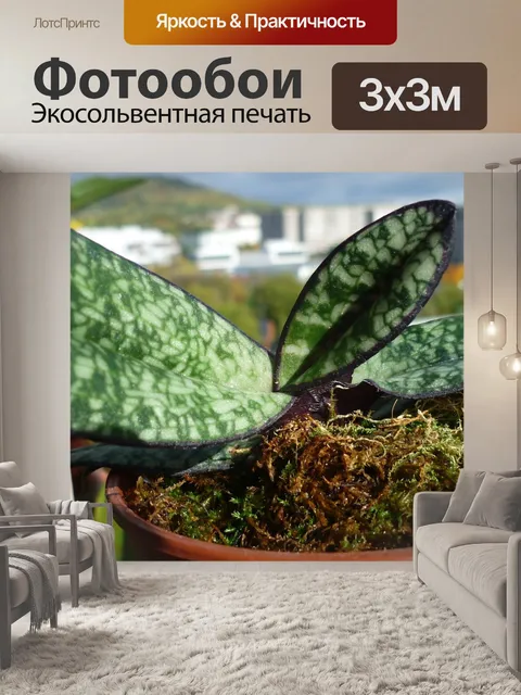 Фотообои Лист дембеля