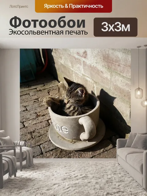 Фотообои Кошка
