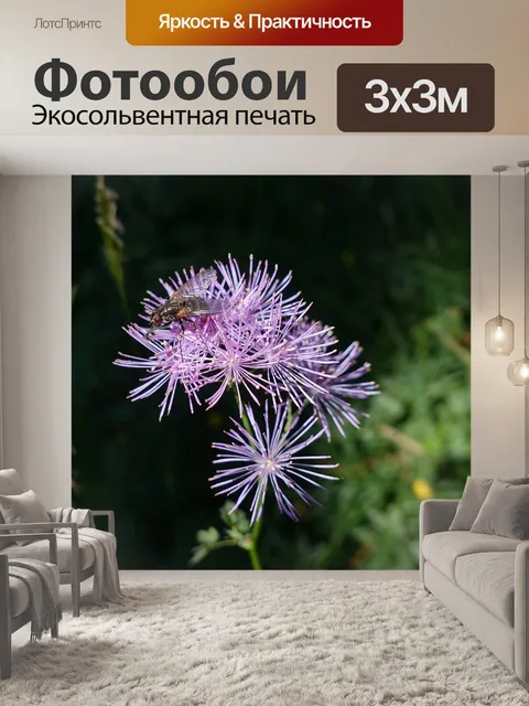 Фотообои Лес