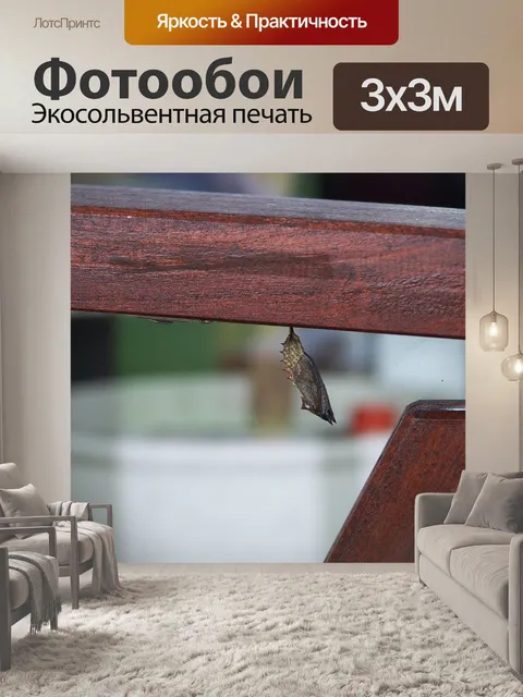 Фотообои Бабочка