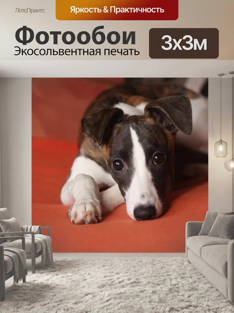 Фотообои Природа