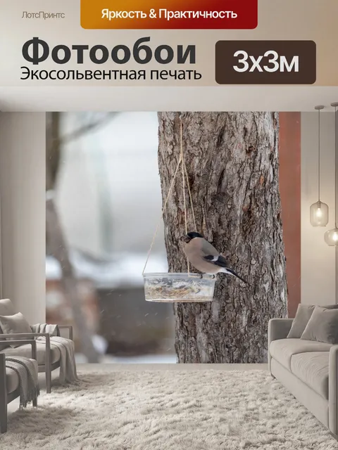 Фотообои Снегирь