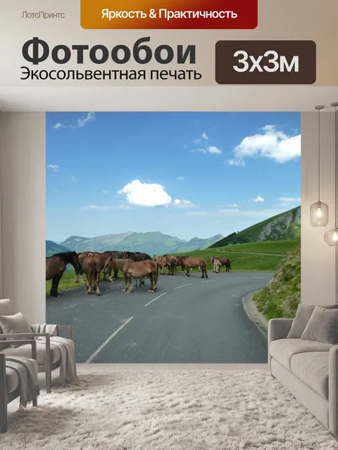 Фотообои Франция