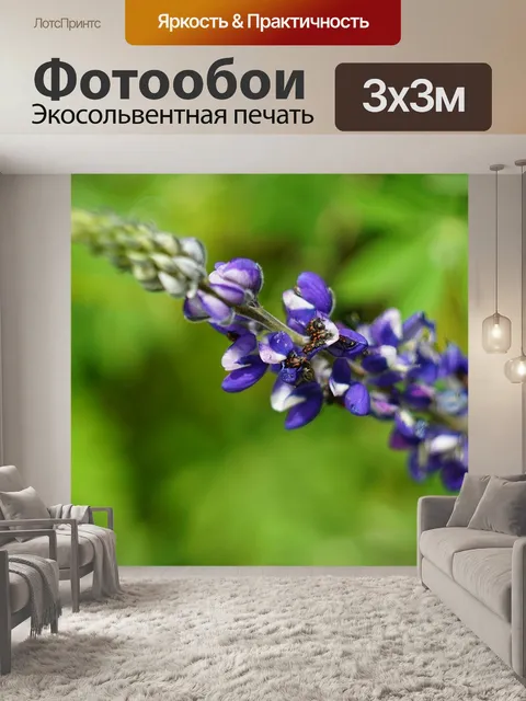 Фотообои Цветок