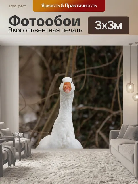 Фотообои Гусь