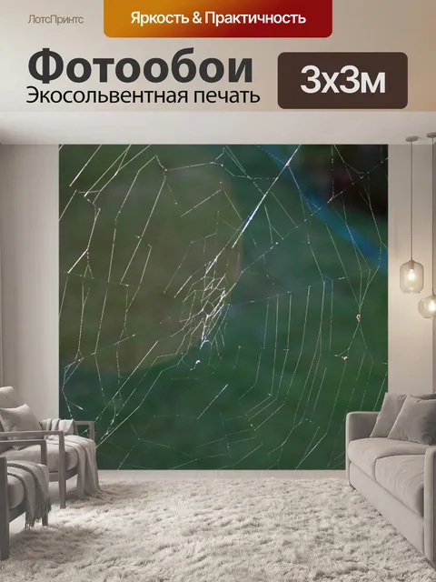 Фотообои паутина шара