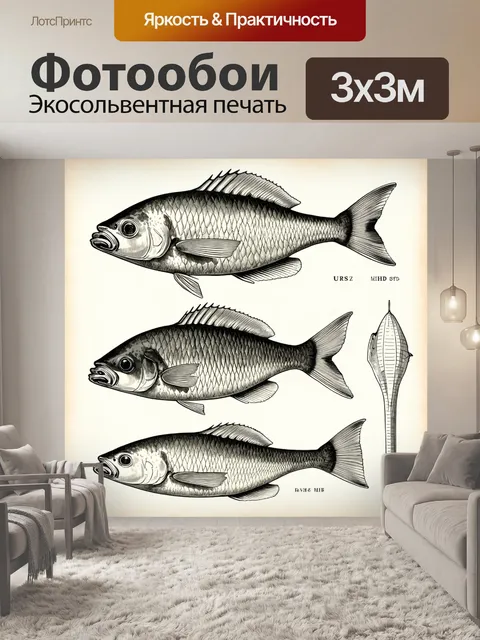 Фотообои стильная иллюстрация медицинской шкалы морской рыбы