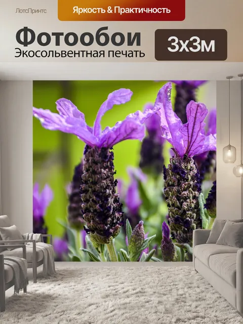 Фотообои Лаванда