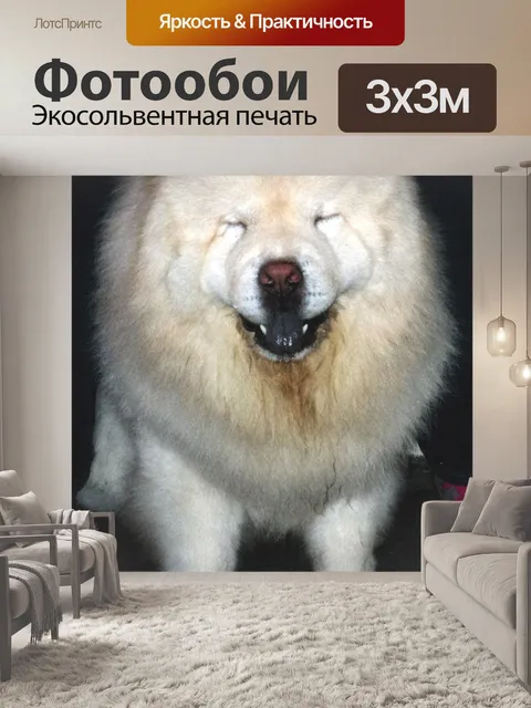 Фотообои милый смайлик собаки