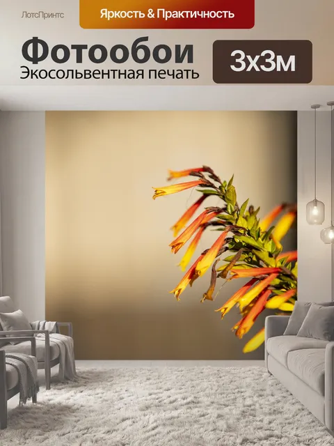 Фотообои Цветок