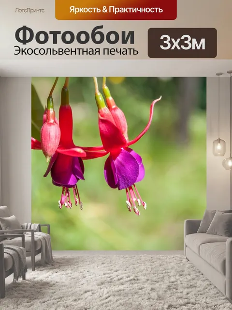 Фотообои Фуксия