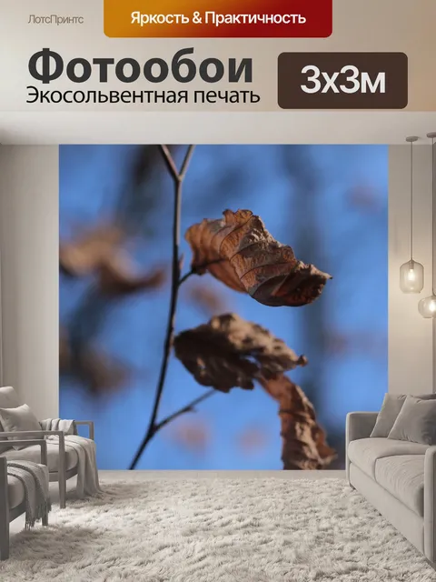 Фотообои Листья
