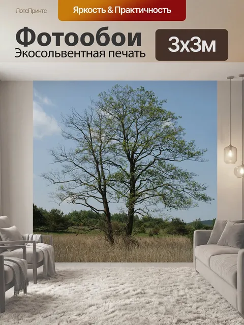 Фотообои Дерево