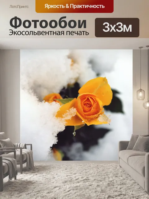 Фотообои Роза