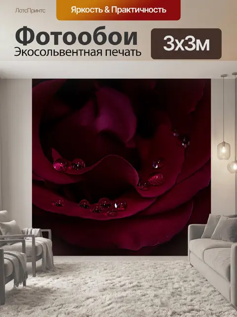 Фотообои Роза