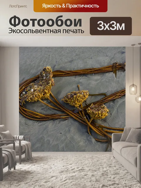 Фотообои Морские водоросли
