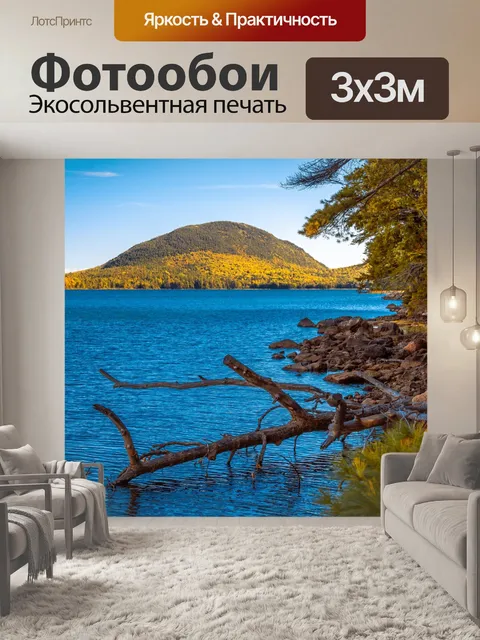 Фотообои национальный парк академия