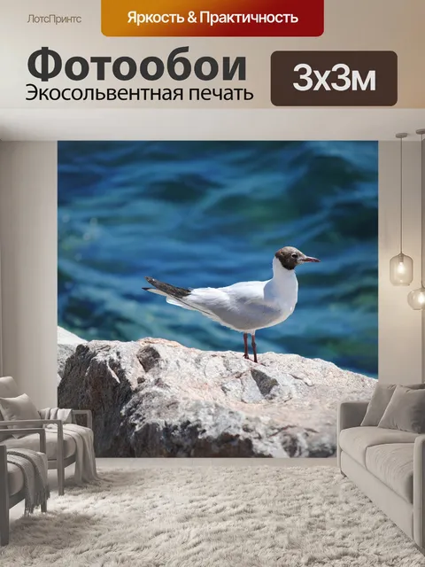 Фотообои Птица
