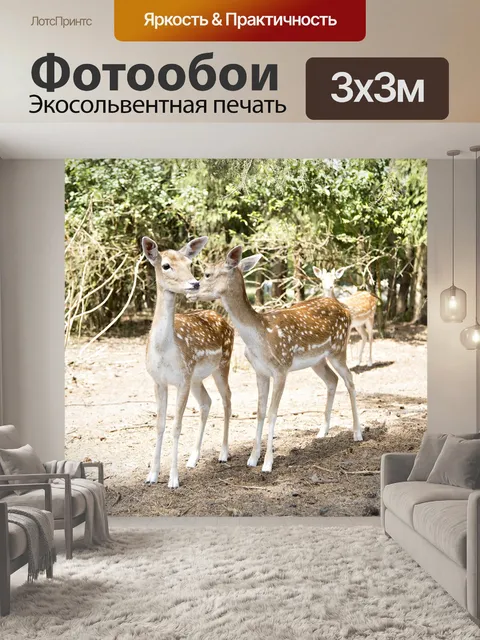 Фотообои Лань
